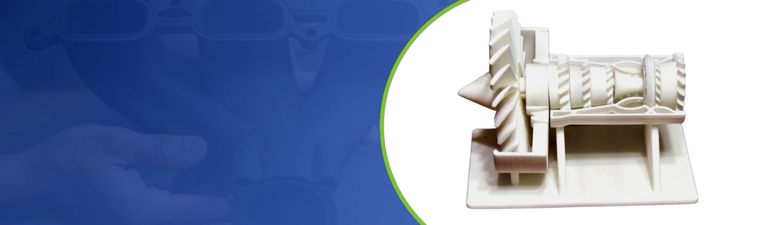 Back and Pinion Boot